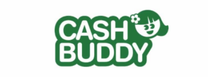Cashbuddy årslån
